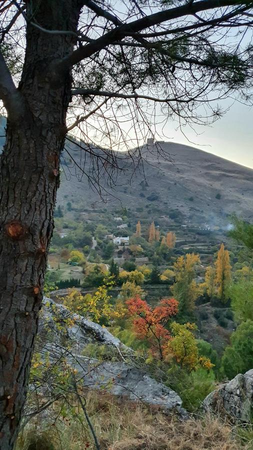 Alojamiento Rural Fuente De La Glorieta Cazorla Exterior foto